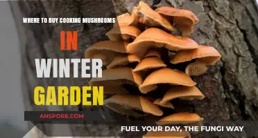 Winter Garden's Best Spots for Fresh Cooking Mushrooms in Winter