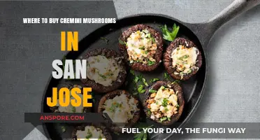 Best Spots to Buy Fresh Cremini Mushrooms in San Jose