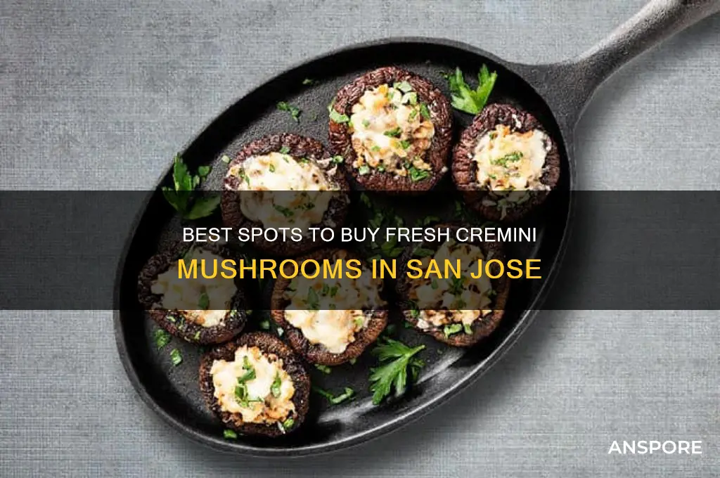 where to buy cremini mushrooms in san jose