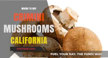 Best Places to Buy Crimini Mushrooms in California: A Guide
