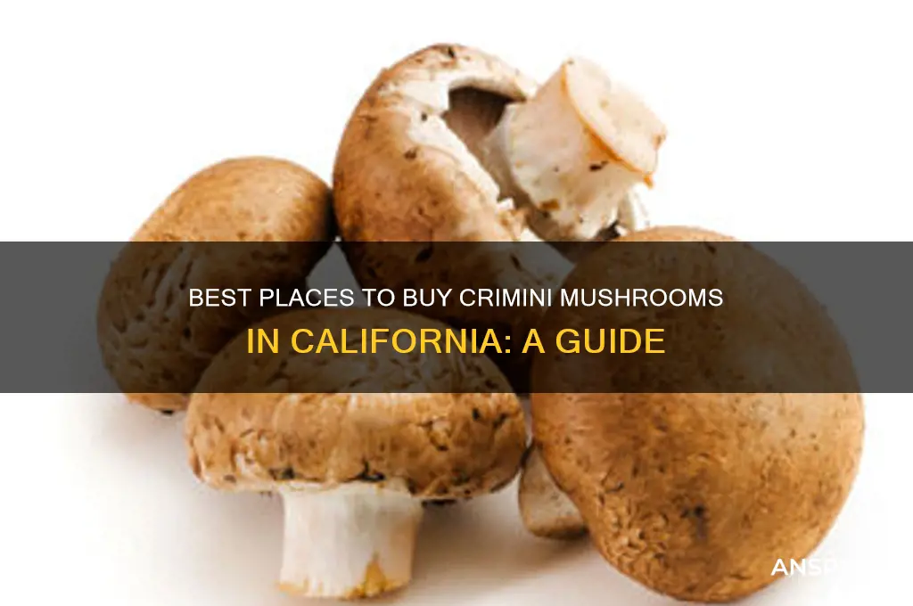 where to buy crimini mushrooms california