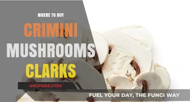 Where to Buy Crimini Mushrooms in Clarks: Top Local Sources
