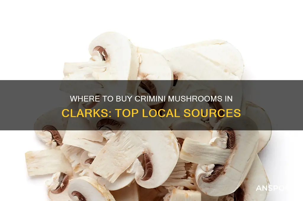 where to buy crimini mushrooms clarks