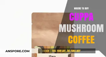 Discover the Best Places to Buy Cuppa Mushroom Coffee Online