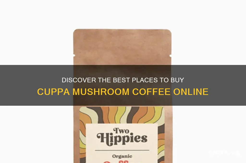 where to buy cuppa mushroom coffee