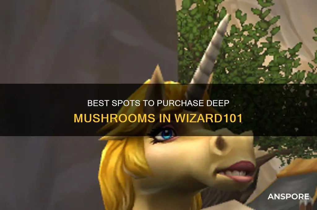 where to buy deep mushrooms in wizard101