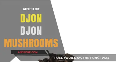 Discover the Best Places to Buy Authentic Djon Djon Mushrooms