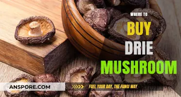 Discover the Best Places to Buy Dried Mushrooms Online and Locally