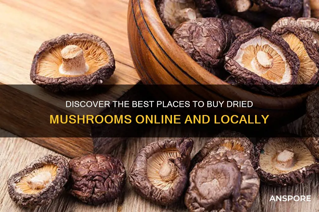 where to buy drie mushroom