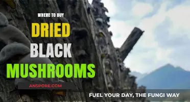 Discover the Best Places to Buy Dried Black Mushrooms Online