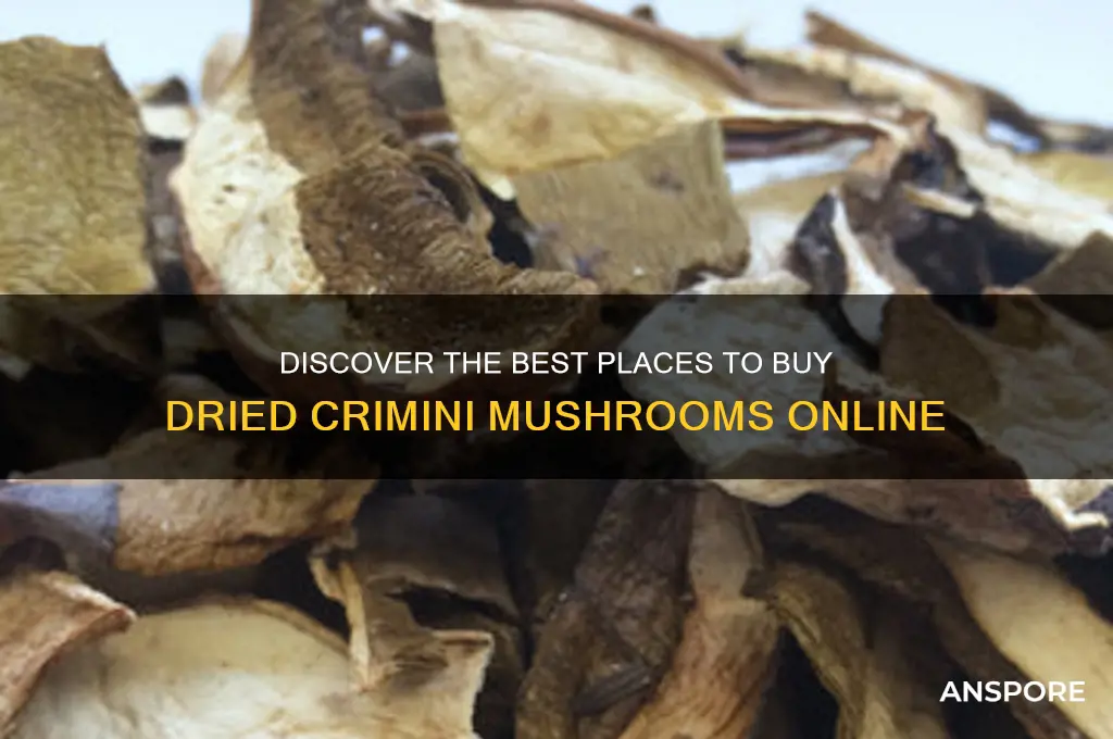 where to buy dried crimini mushrooms