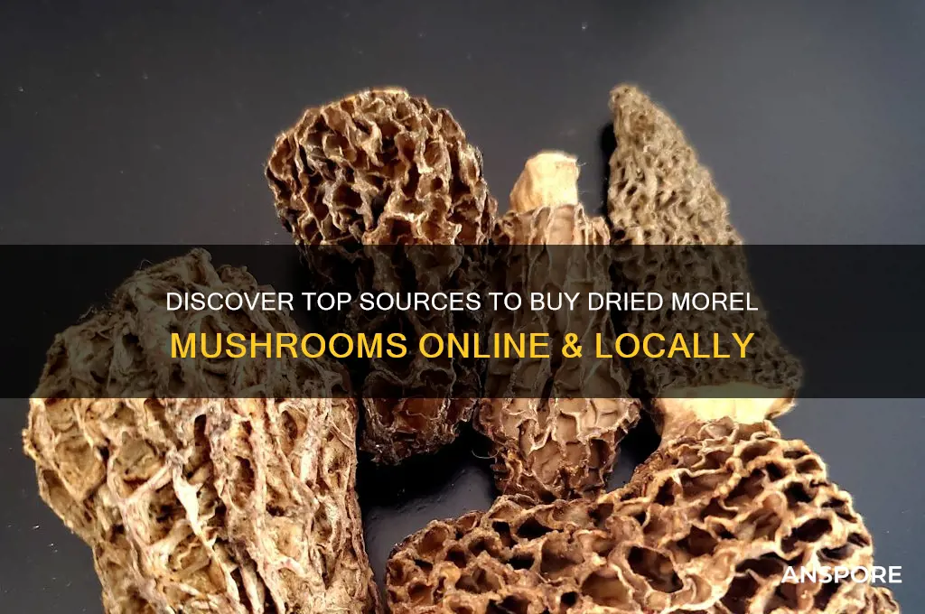 where to buy dried moral mushrooms