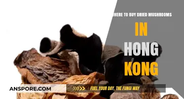 Discover Hong Kong's Top Spots for Buying Dried Mushrooms