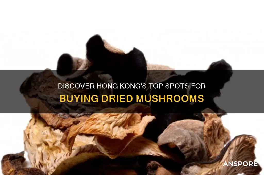 where to buy dried mushrooms in hong kong