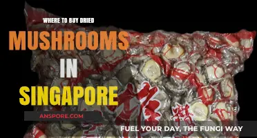 Discover the Best Spots to Buy Dried Mushrooms in Singapore