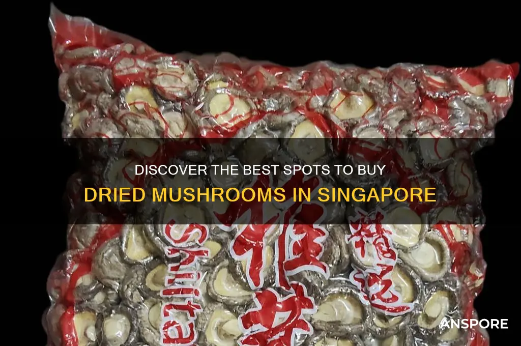 where to buy dried mushrooms in singapore