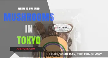 Discover Tokyo's Best Spots for Buying Dried Mushrooms