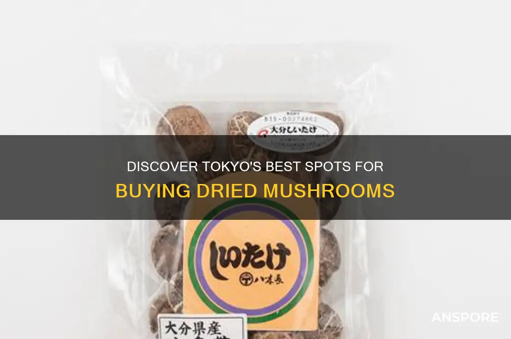where to buy dried mushrooms in tokyo