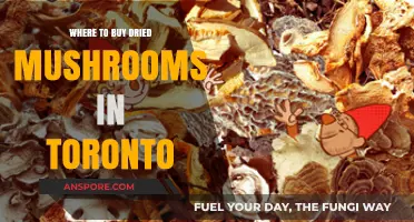 Top Spots to Buy Dried Mushrooms in Toronto: A Guide