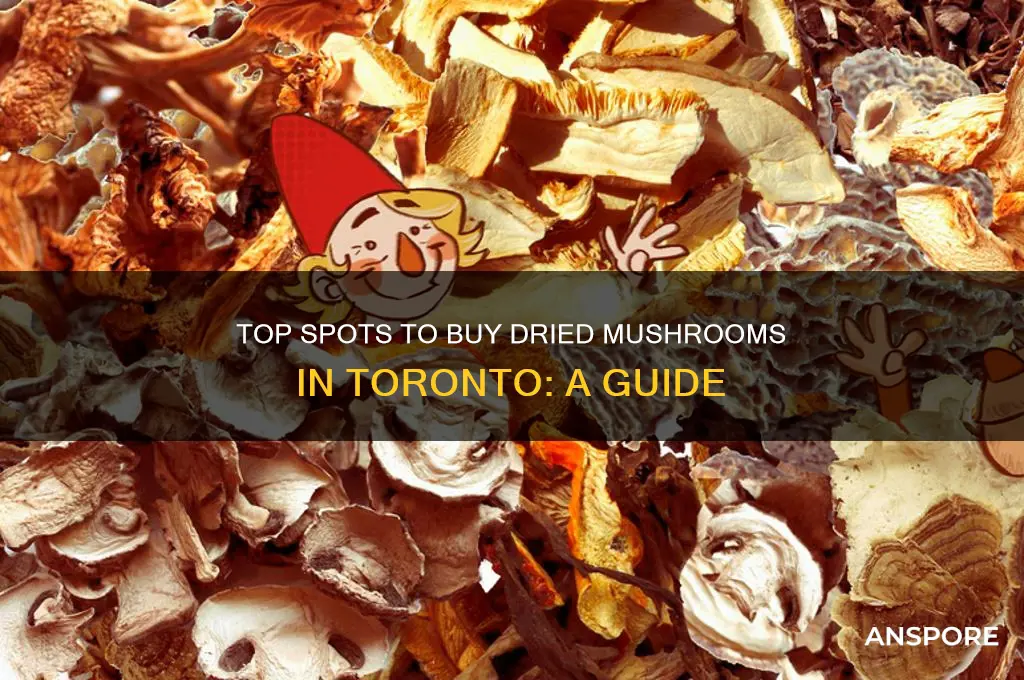 where to buy dried mushrooms in toronto
