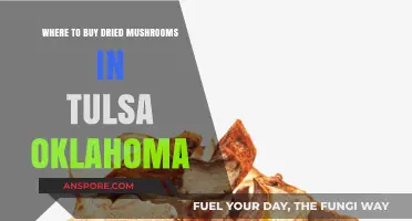 Discover Top Spots to Buy Dried Mushrooms in Tulsa, Oklahoma