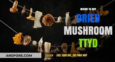 Discover Top Sources for Buying Dried Mushrooms in TTYD