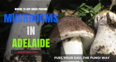 Discover Adelaide's Best Spots for Dried Porcini Mushrooms