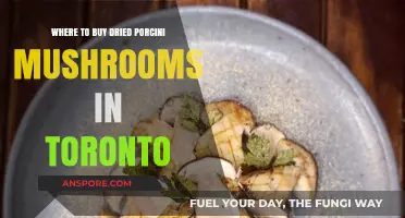 Discover Toronto's Best Spots for Dried Porcini Mushrooms