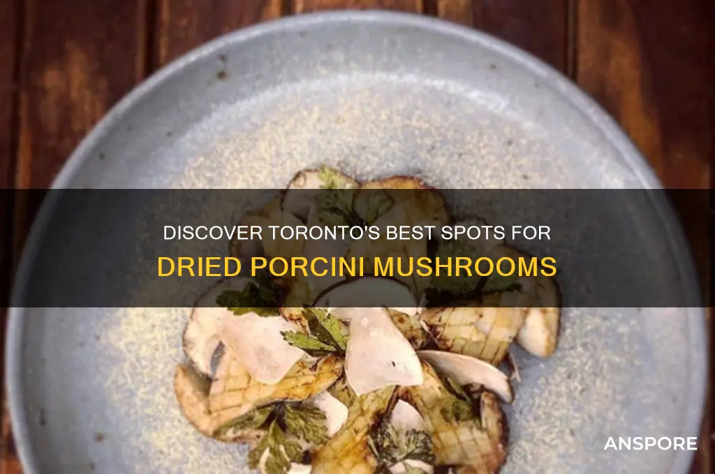where to buy dried porcini mushrooms in toronto
