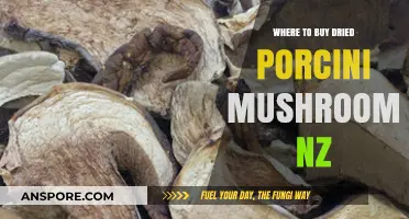 Best Spots to Buy Dried Porcini Mushrooms in New Zealand