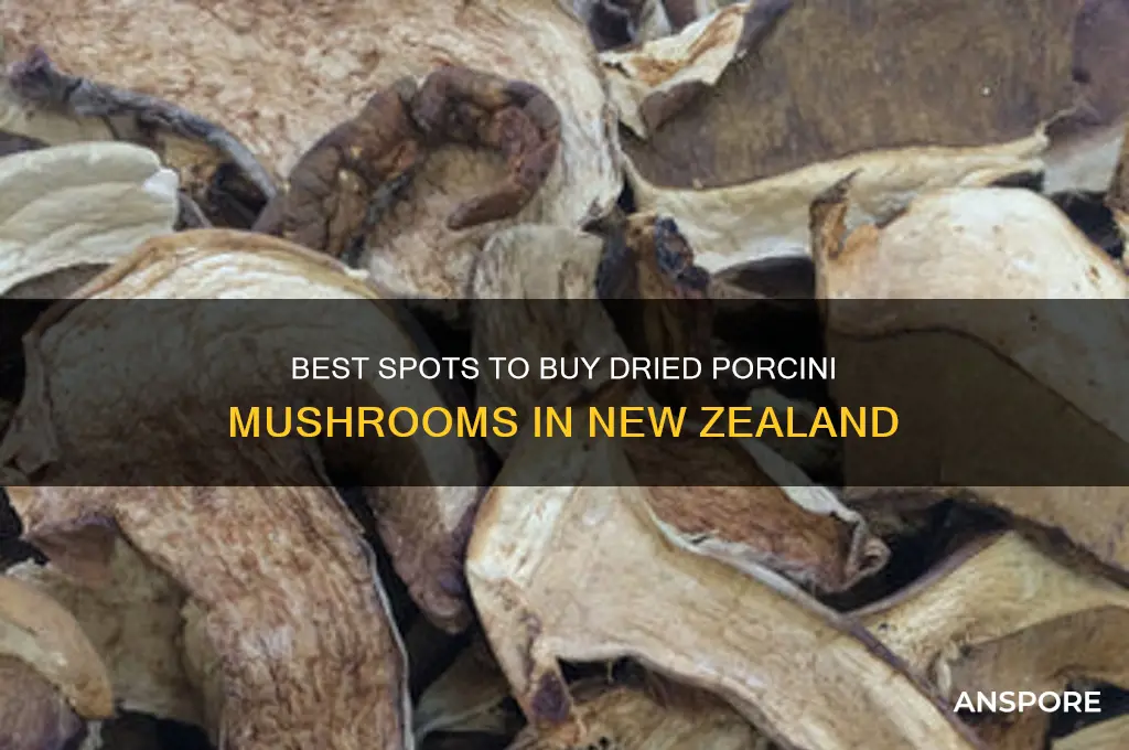 where to buy dried porcini mushrooms nz