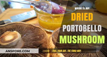 Discover the Best Places to Buy Dried Portobello Mushrooms