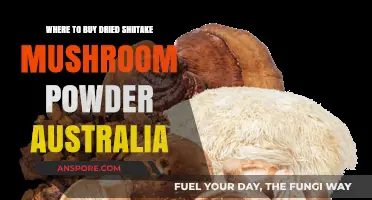 Best Places to Buy Dried Shiitake Mushroom Powder in Australia