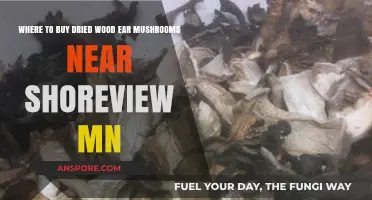 Find Dried Wood Ear Mushrooms Near Shoreview, MN: Top Local Spots