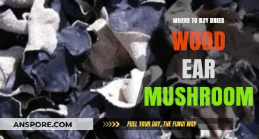 Discover Top Sources for Buying Dried Wood Ear Mushrooms Online