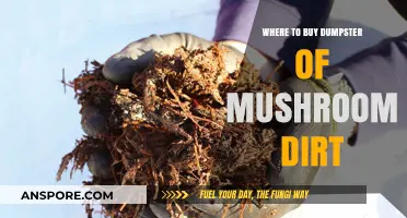 Best Places to Purchase Bulk Mushroom Soil for Gardening