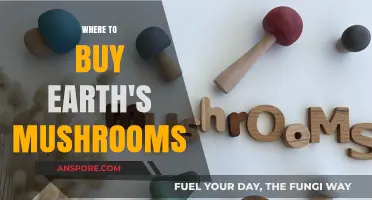 Discover the Best Places to Buy Earth's Mushrooms Online and Locally