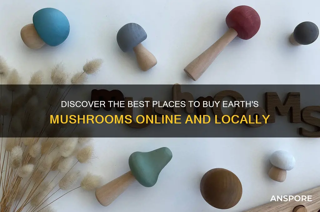 where to buy earth