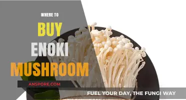 Discover the Best Places to Buy Fresh Enoki Mushrooms