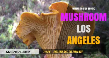 Discover Los Angeles' Top Spots for Exotic Mushrooms: A Buyer's Guide