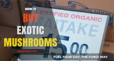 Discover Unique Flavors: Top Spots to Buy Exotic Mushrooms