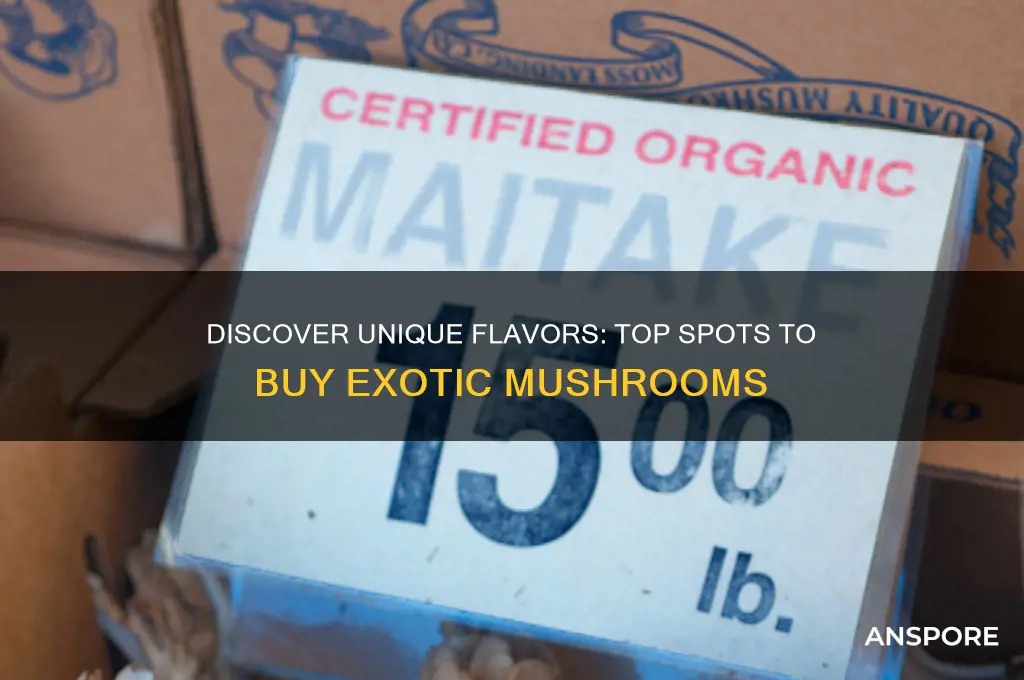 where to buy exotic mushrooms