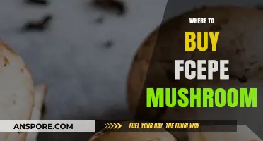 Discover the Best Places to Buy Fresh FCEPE Mushrooms