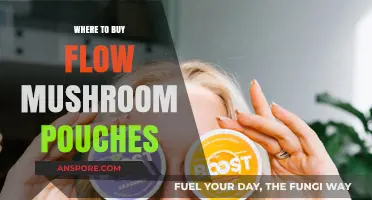 Best Places to Buy Flow Mushroom Pouches Online and Locally