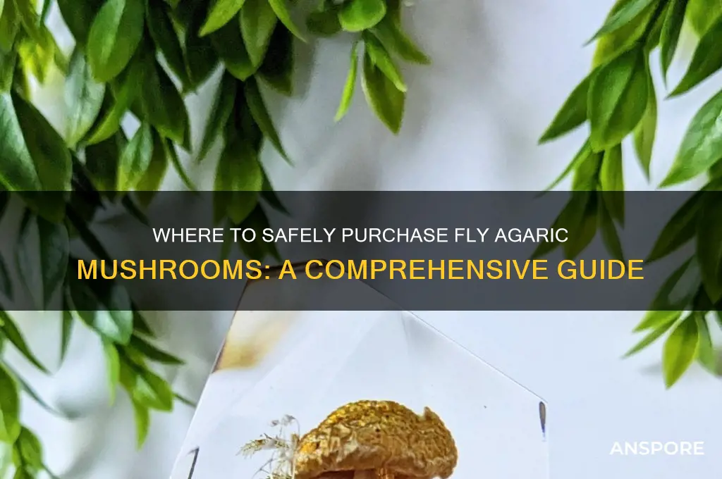where to buy fly agaric mushroom
