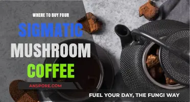 Discover the Best Places to Buy Four Sigmatic Mushroom Coffee