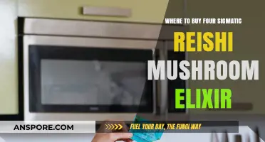 Best Places to Purchase Four Sigmatic Reishi Mushroom Elixir