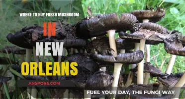 Discover New Orleans' Best Spots for Fresh Mushrooms: A Local's Guide