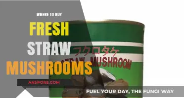 Discover the Best Places to Buy Fresh Straw Mushrooms Locally and Online