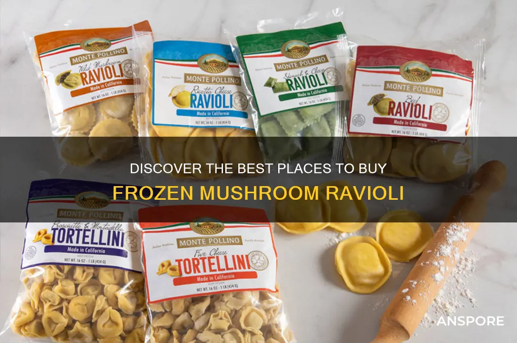 where to buy frozen mushroom ravioli